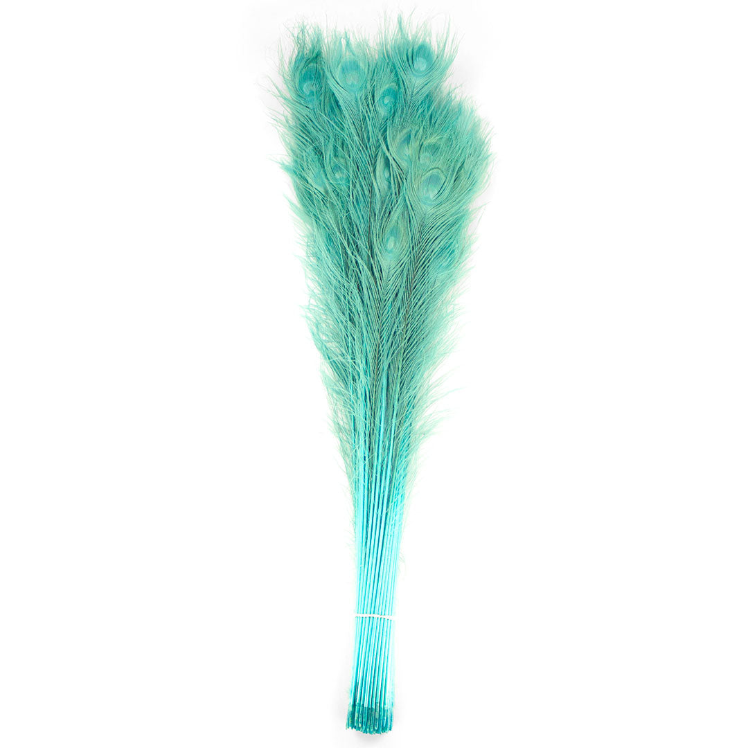 Peacock Feathers | 25-40" Tail Eyes | Light Turquoise (Bulk)