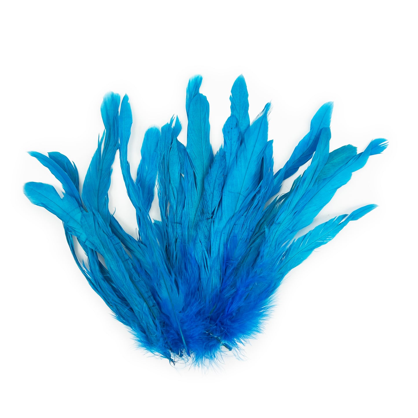 ROOSTER COQUE TAIL FEATHERS BLEACH DYED 7-10” - 25 PC/PKG - Dark Turquoise