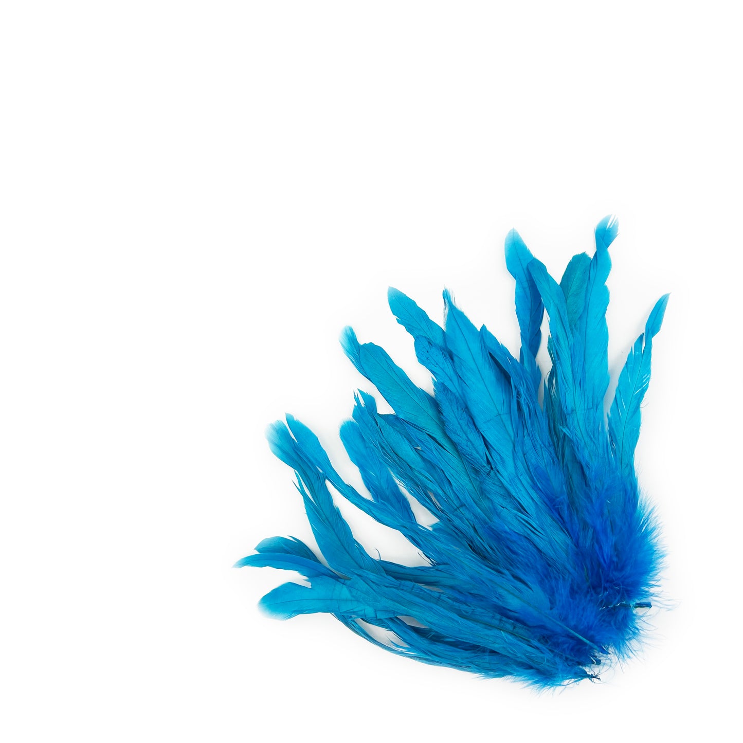 ROOSTER COQUE TAIL FEATHERS BLEACH DYED 7-10” - 25 PC/PKG - Dark Turquoise