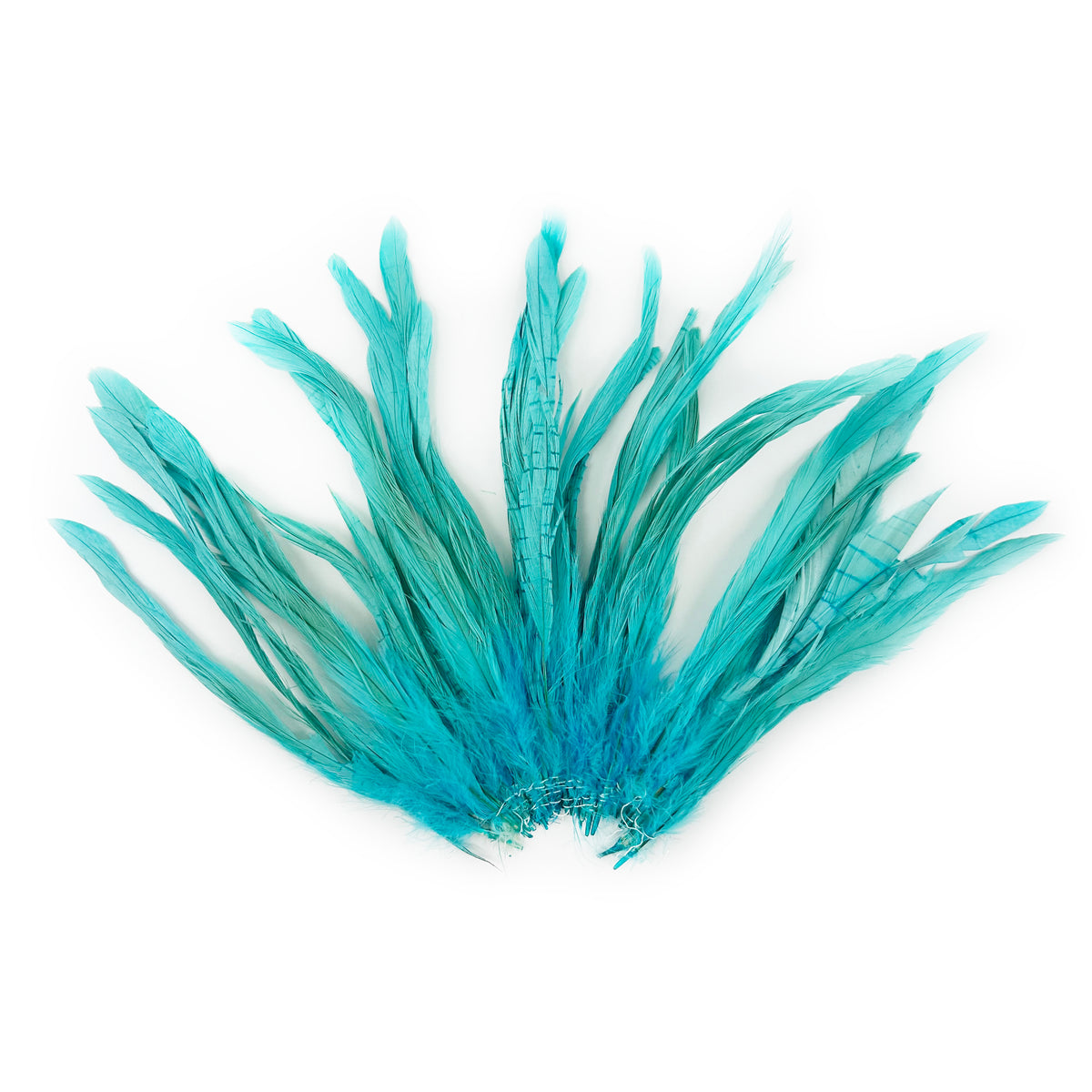 ROOSTER COQUE TAIL FEATHERS BLEACH DYED 7-10” - 25 PC/PKG -Light Turquoise