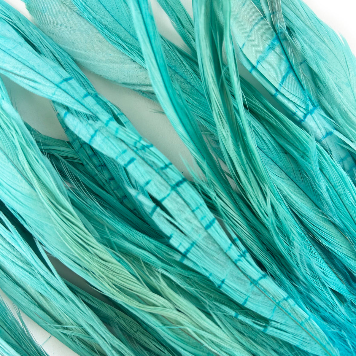 ROOSTER COQUE TAIL FEATHERS BLEACH DYED 7-10” - 25 PC/PKG -Light Turquoise