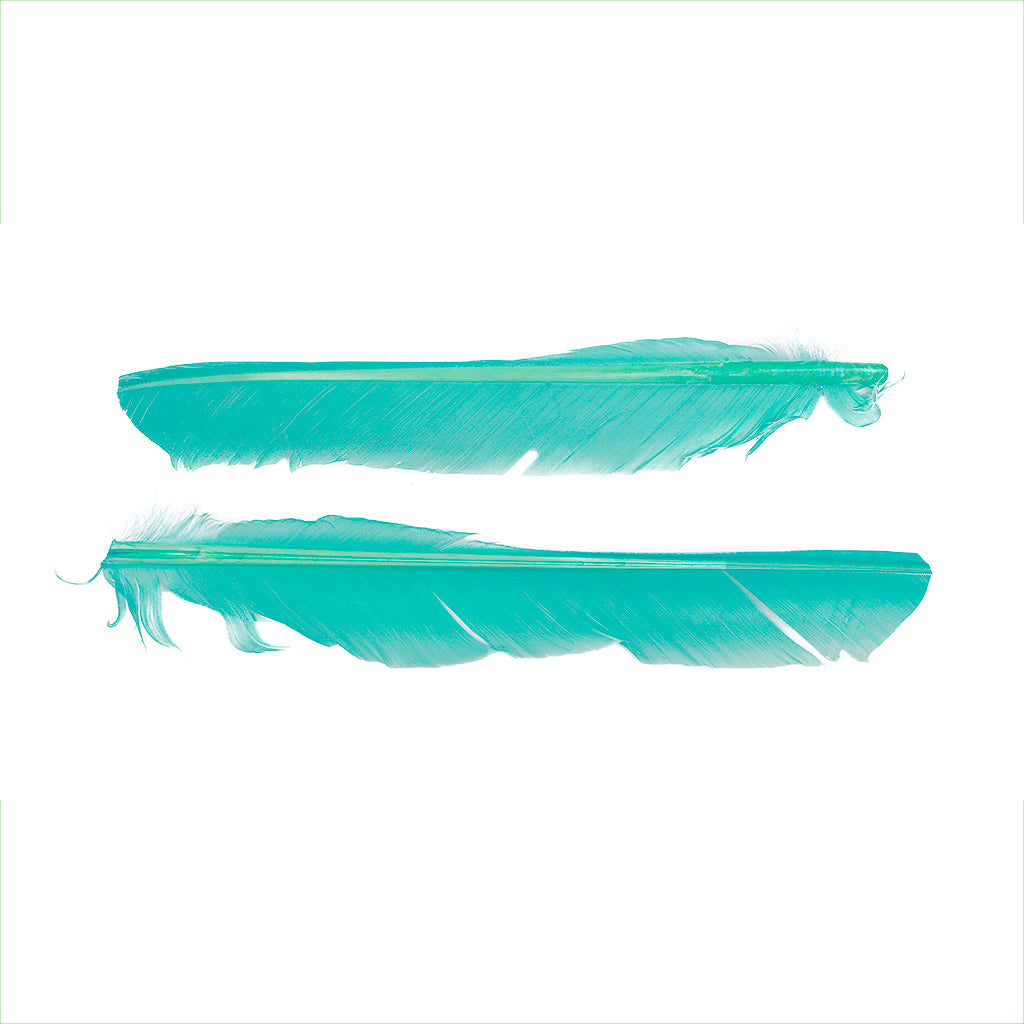 Light Turquoise Cut Turkey Pointer Feathers 8-12"