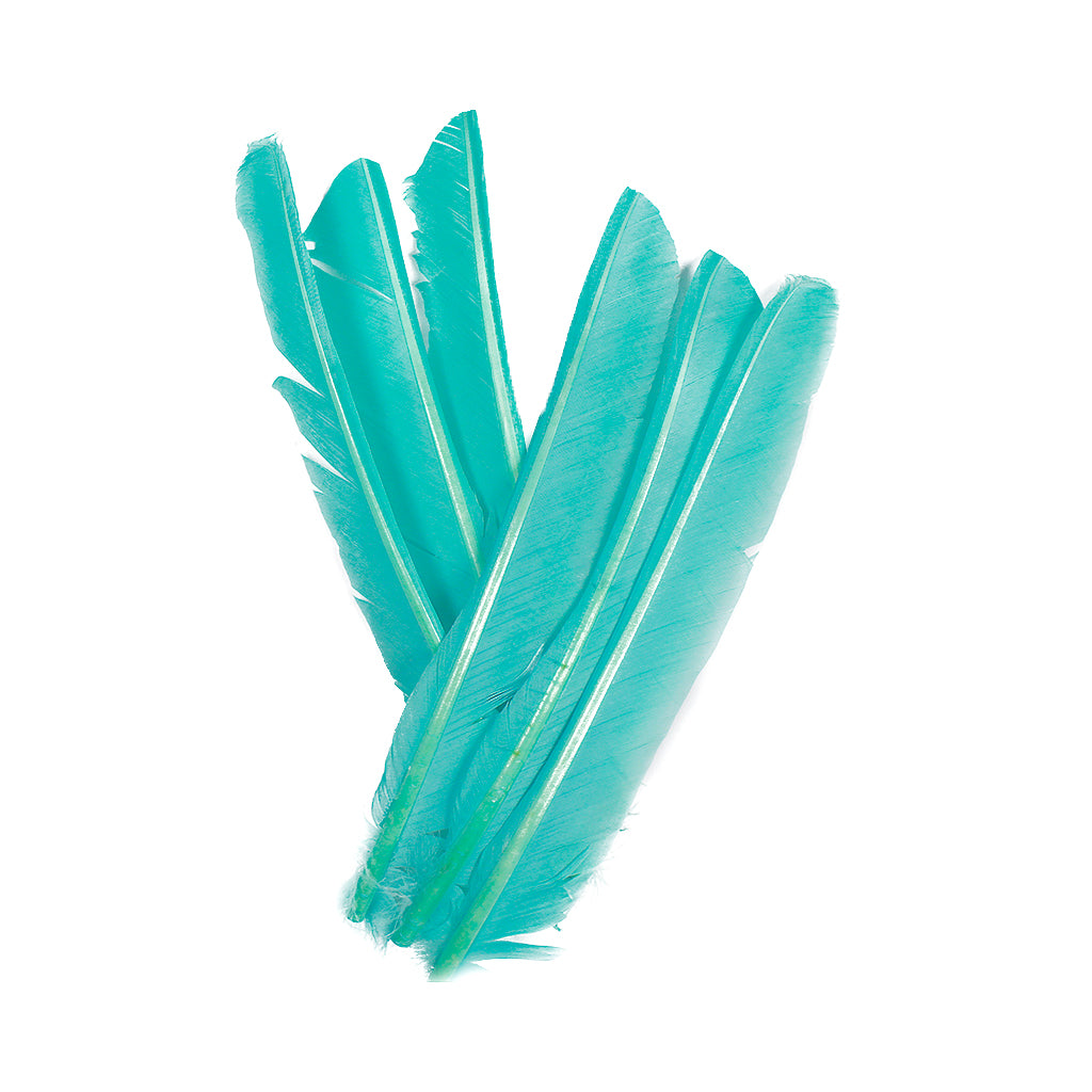 Light Turquoise Cut Turkey Pointer Feathers 8-12"