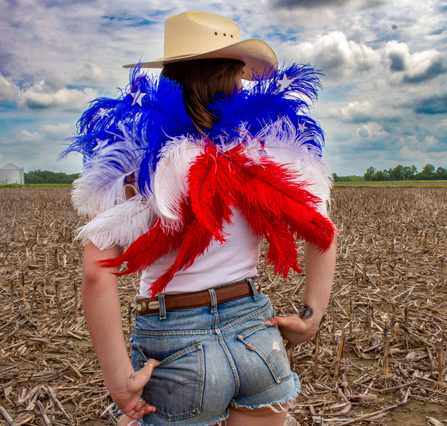 USA Wings - Large