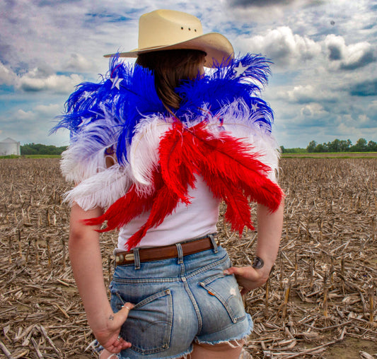 USA Wings - Large