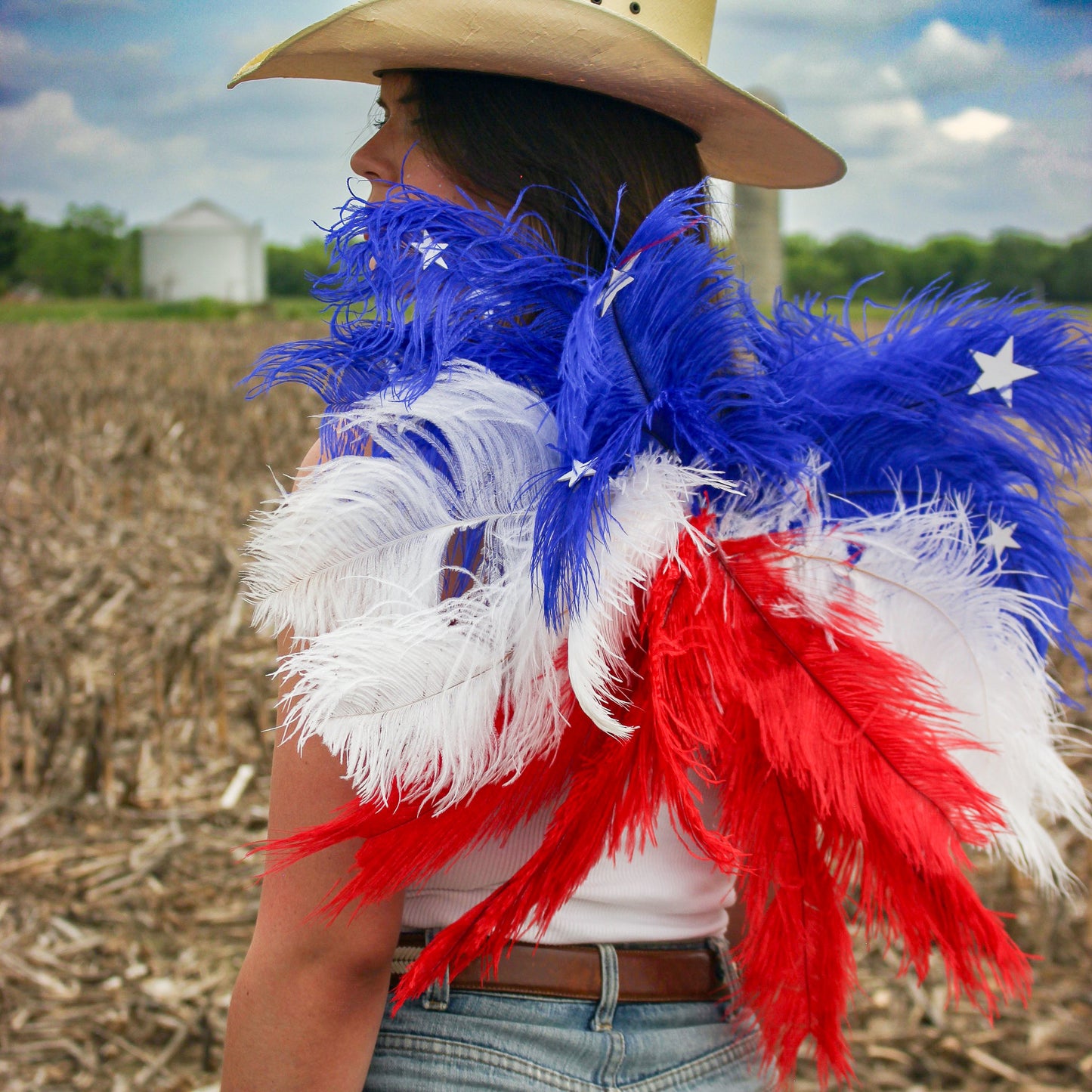 USA Wings - Large