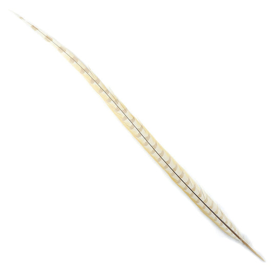 Venery Pheasant Tails - Bleached and Dyed - 30 - 40’’ 1pc - Ivory - Feathers