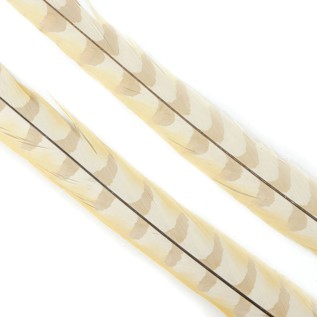 Venery Pheasant Tails - Bleached and Dyed - 30 - 40’’ 1pc - Ivory - Feathers