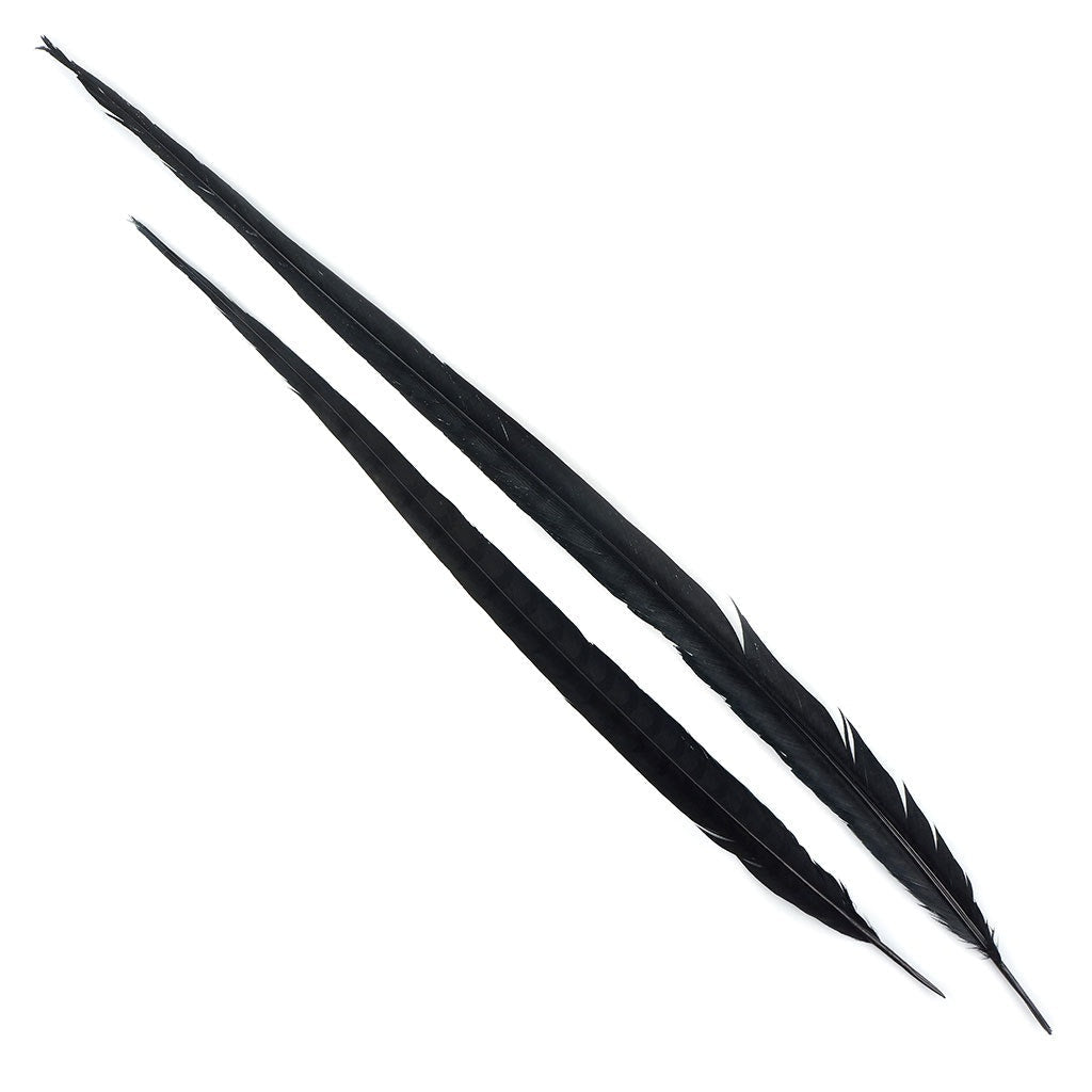 Venery Pheasant Tails - Dyed - 30 - 40’’ 1pc Black - Feathers