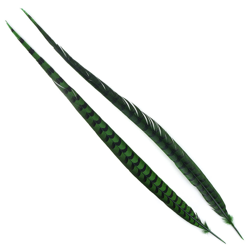 Venery Pheasant Tails - Dyed - 30 - 40’’ 1pc Kelly Green - Feathers