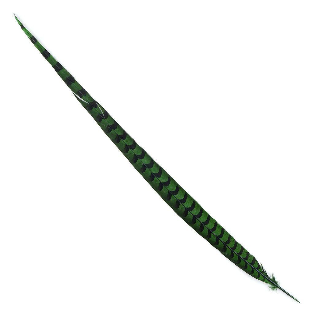 Venery Pheasant Tails - Dyed - 30 - 40’’ 1pc Kelly Green - Feathers