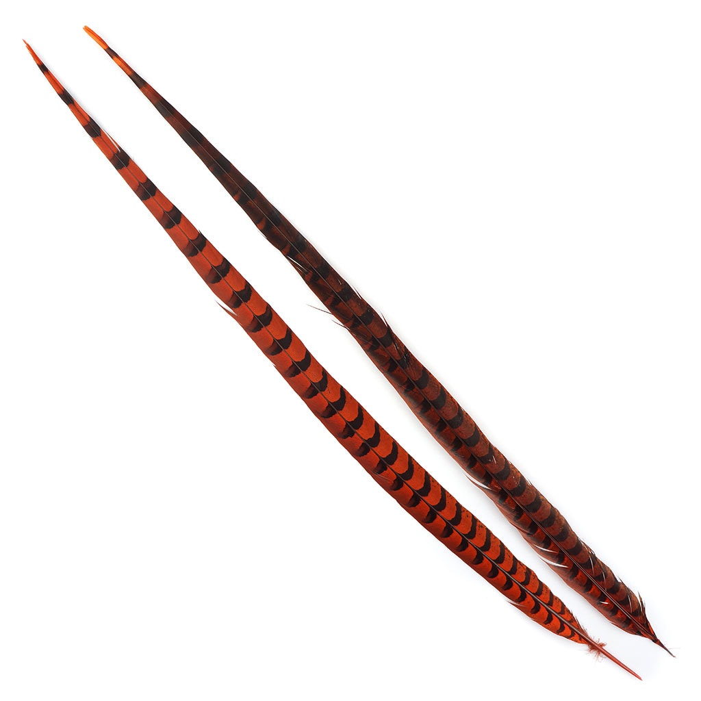 Venery Pheasant Tails - Dyed - 30 - 40’’ 1pc Orange - Feathers