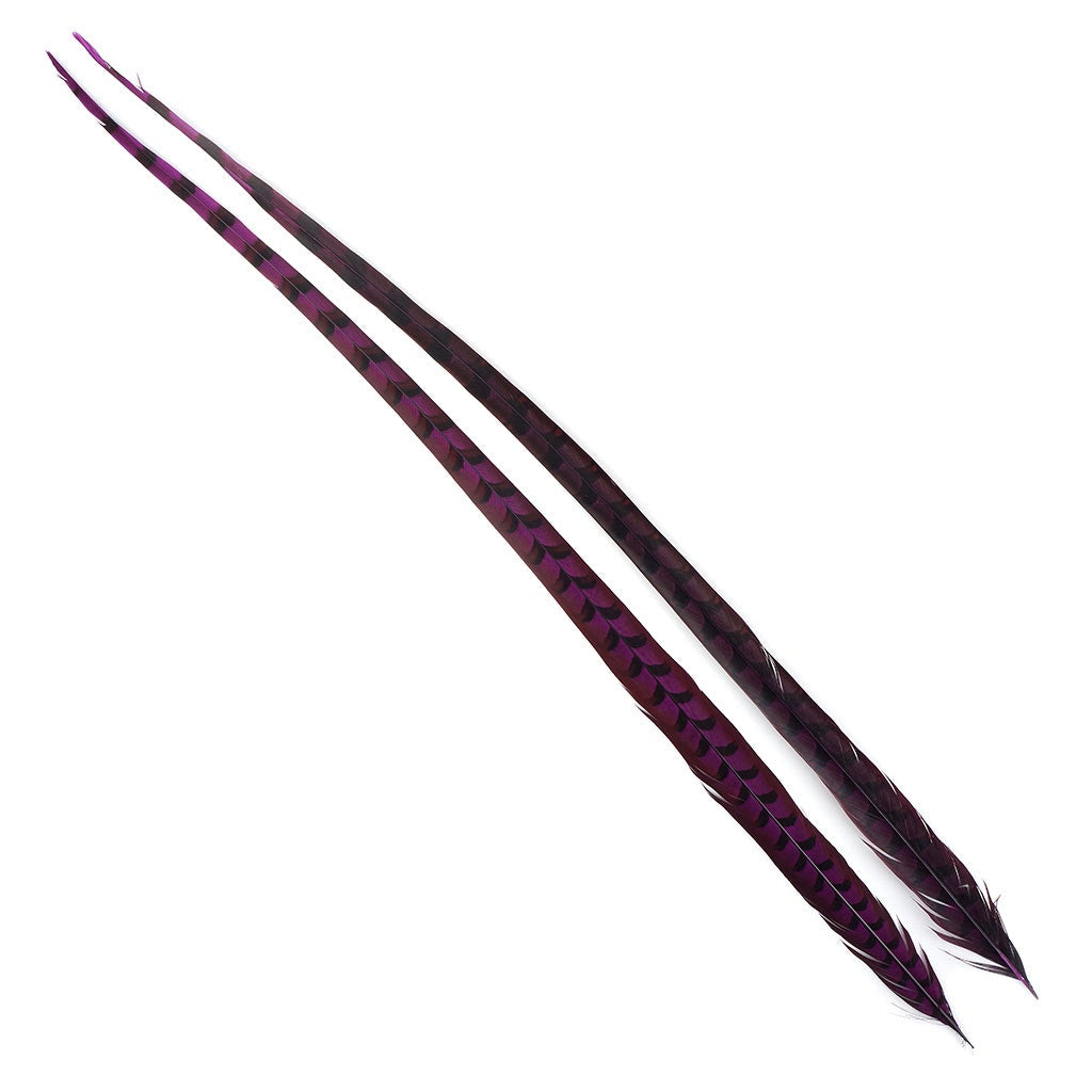 Venery Pheasant Tails - Dyed - 30 - 40’’ 1pc Very Berry - Feathers