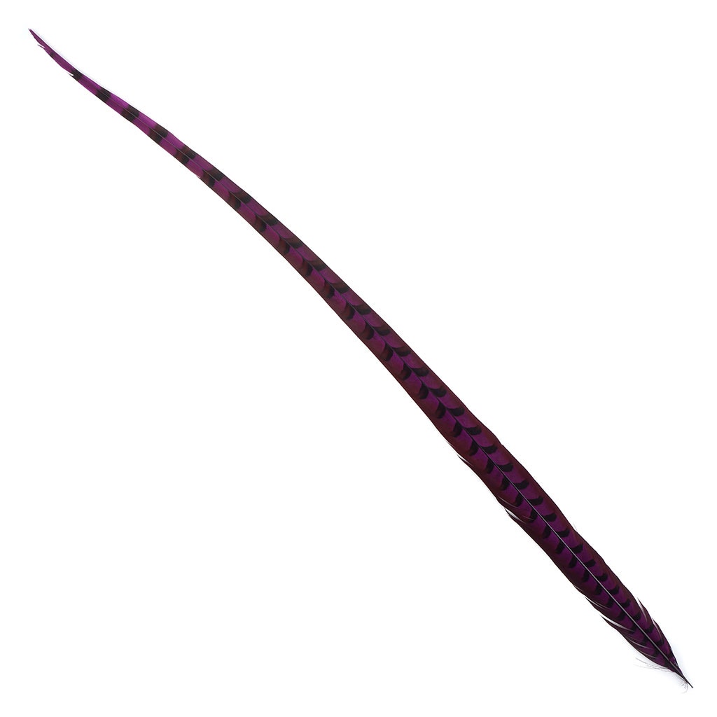 Venery Pheasant Tails - Dyed - 30 - 40’’ 1pc Very Berry - Feathers