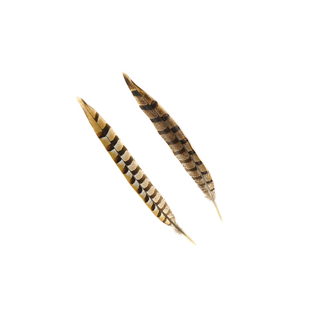 Venery Pheasant Tails - Natural - 12 - 16’’ - Feathers