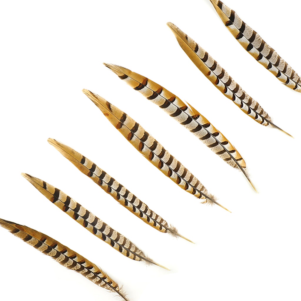 Venery Pheasant Tails - Natural - 12 - 16’’ - Feathers