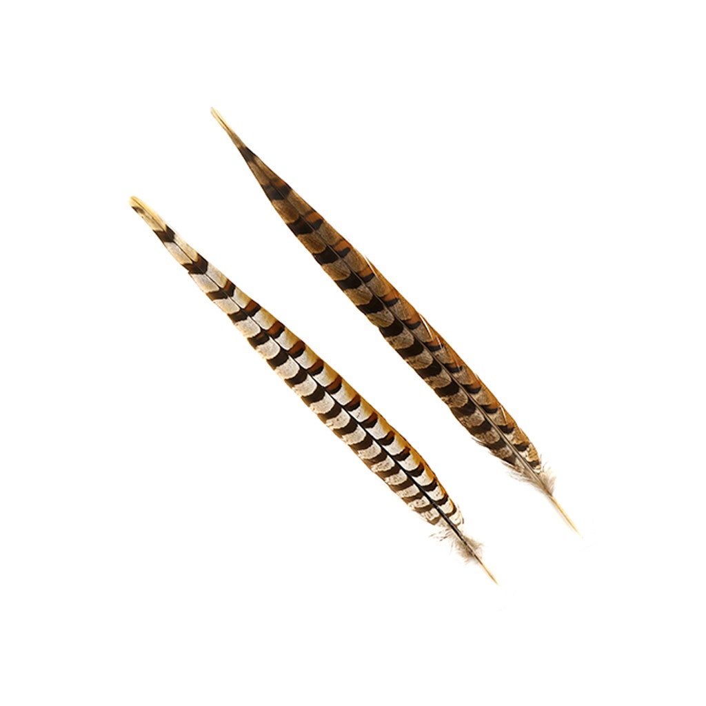 Venery Pheasant Tails - Natural - 16 - 20’’ - Feathers