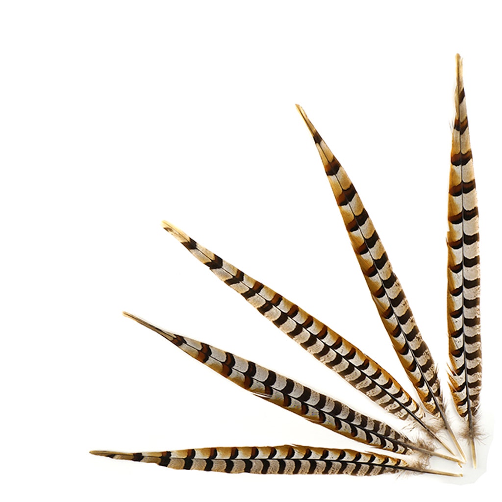 Venery Pheasant Tails - Natural - 16 - 20’’ - Feathers