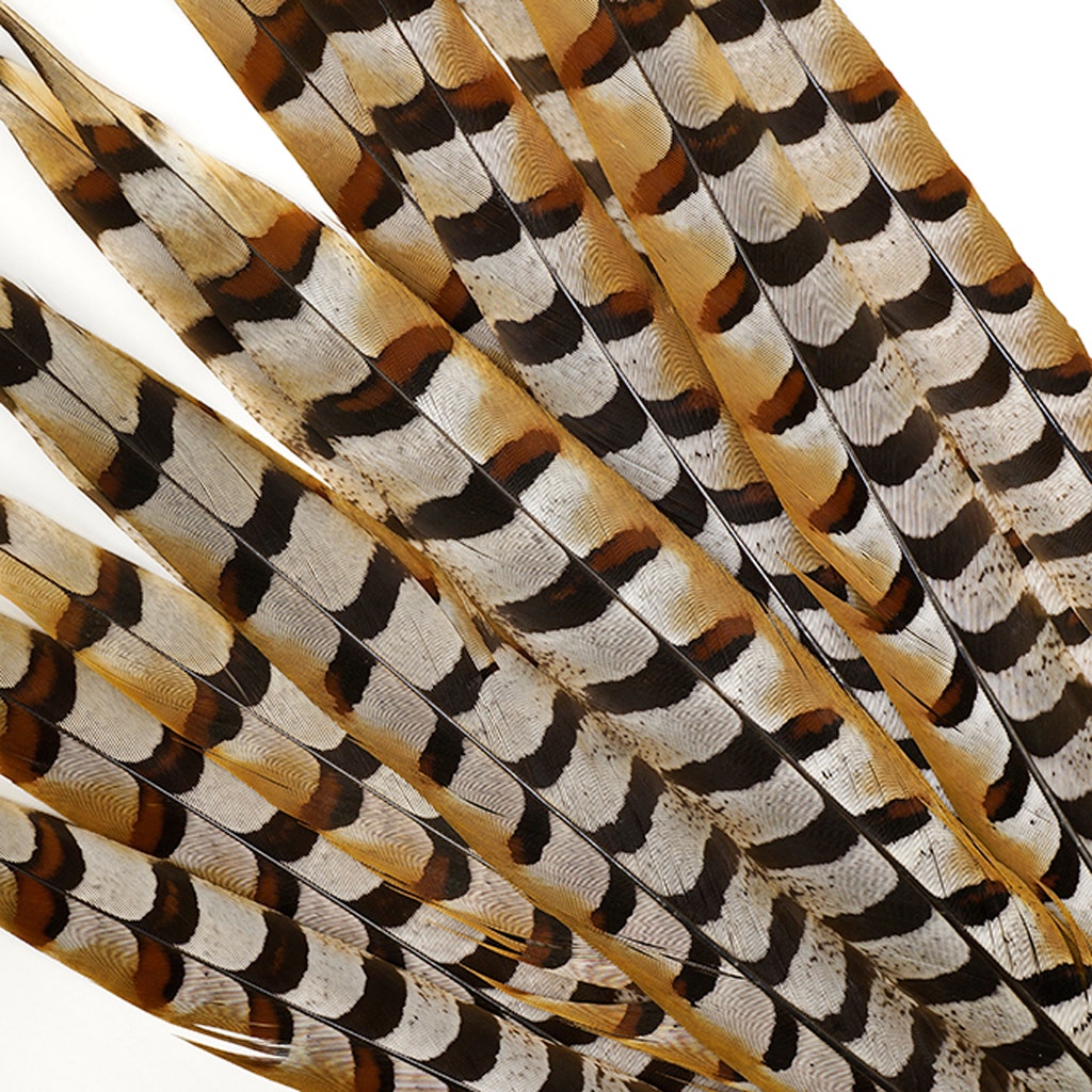 Venery Pheasant Tails - Natural - 16 - 20’’ - Feathers