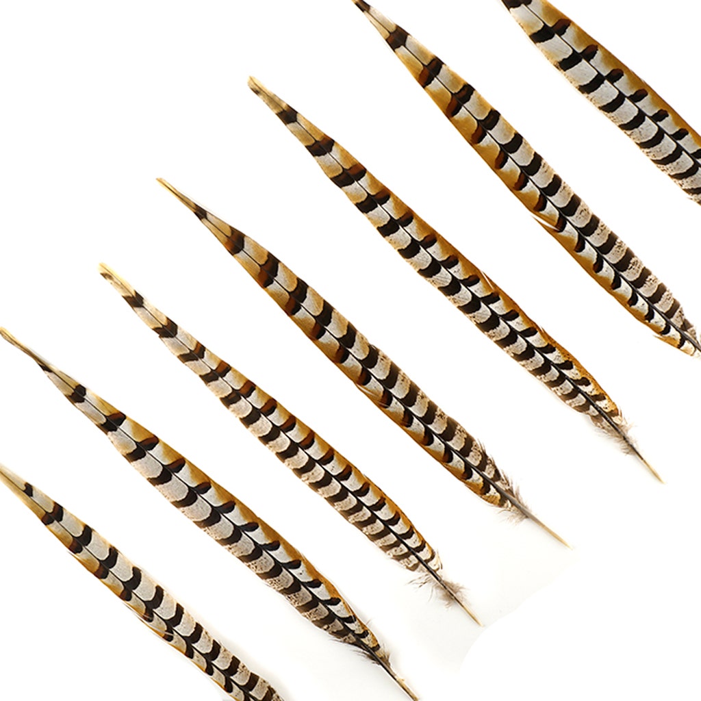 Venery Pheasant Tails - Natural - 16 - 20’’ - Feathers