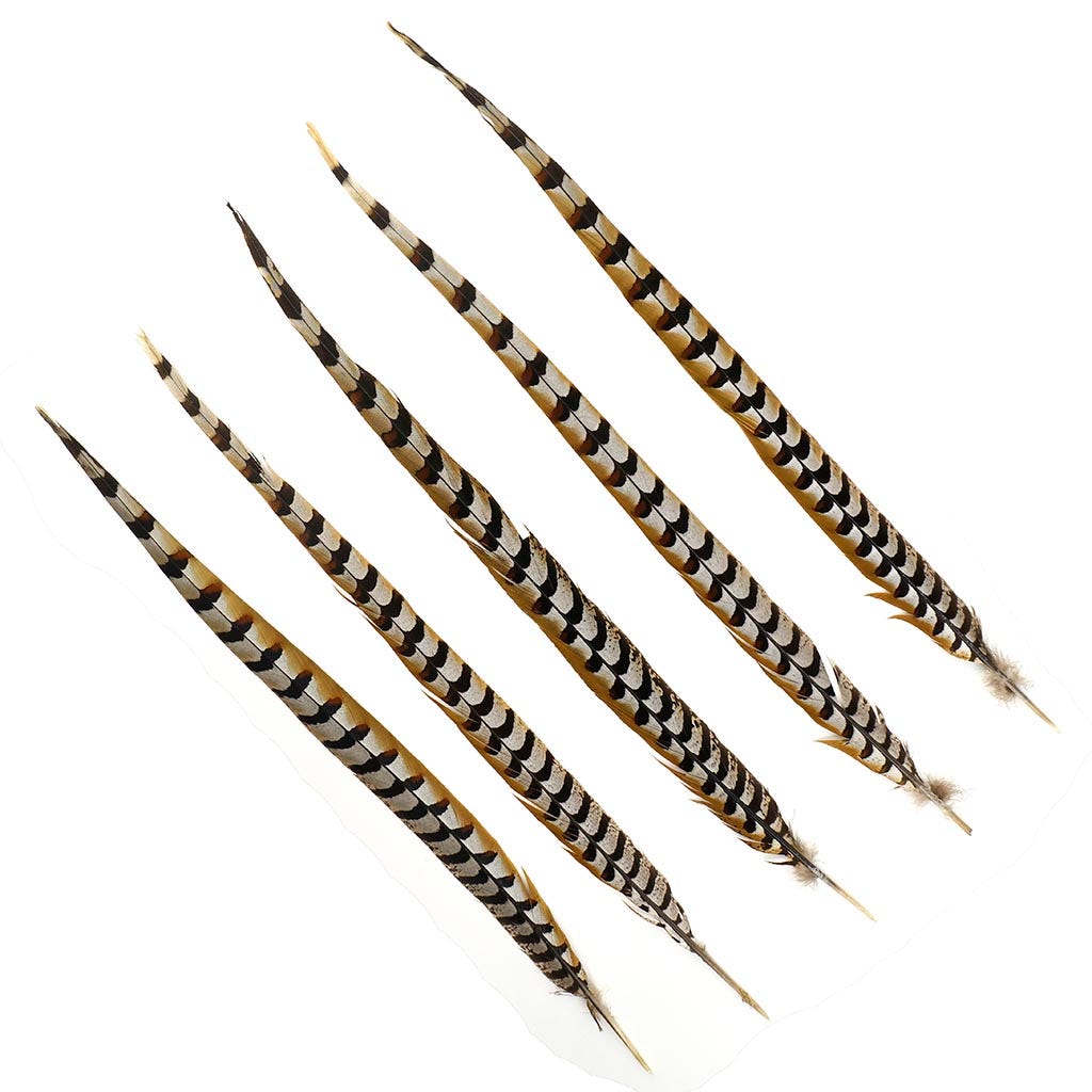 Venery Pheasant Tails - Natural - 20 - 30’’ - Feathers