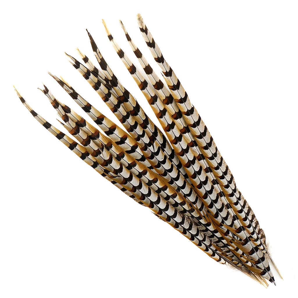 Venery Pheasant Tails - Natural - 20 - 30’’ - Feathers