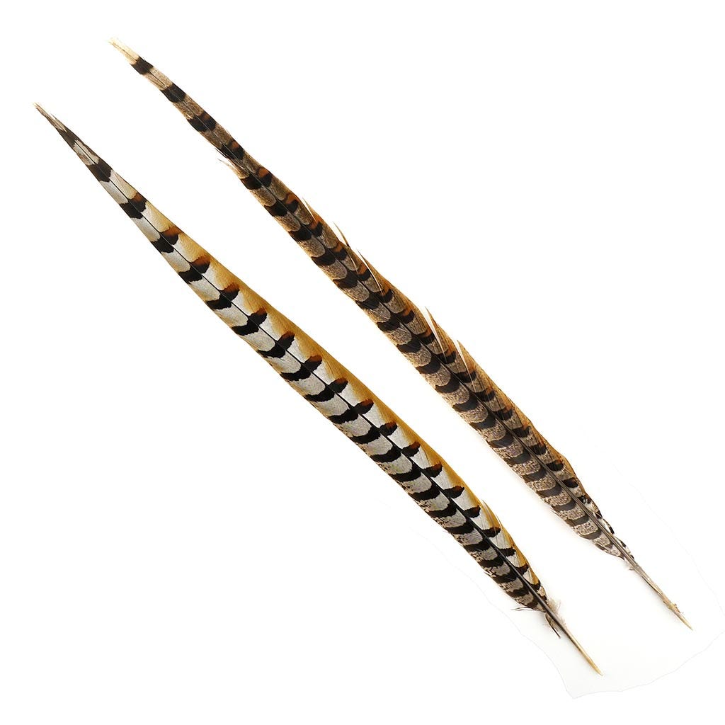 Venery Pheasant Tails - Natural - 20 - 30’’ - Feathers