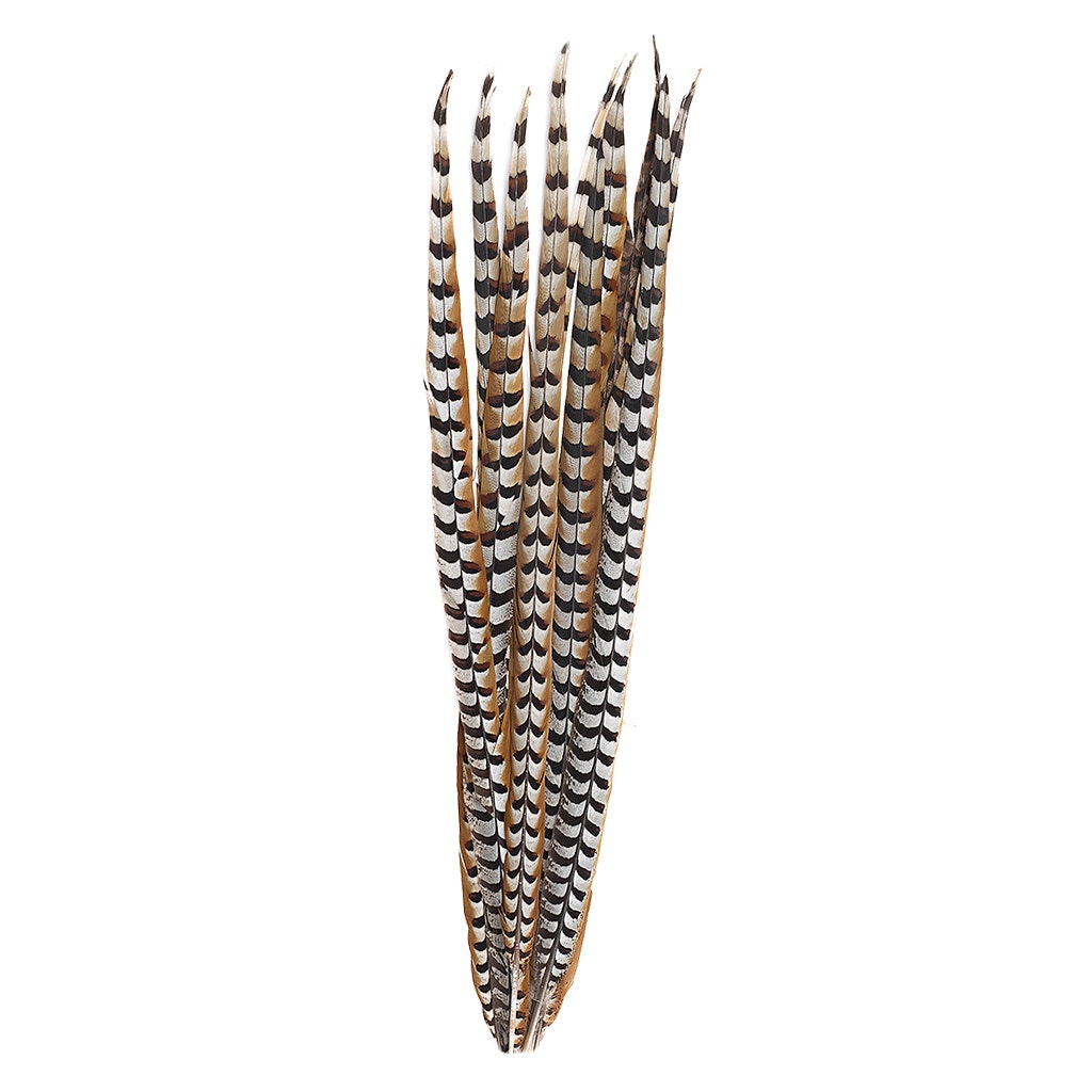 Venery Pheasant Tails - Natural - 30 - 40’’ - Feathers