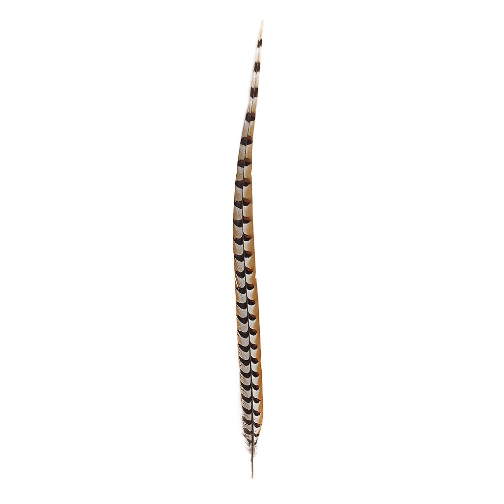 Venery Pheasant Tails - Natural - 30 - 40’’ - Feathers