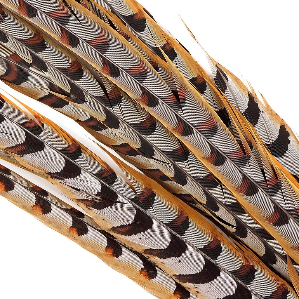 Venery Pheasant Tails - Natural - 40 - 50’’ - Feathers