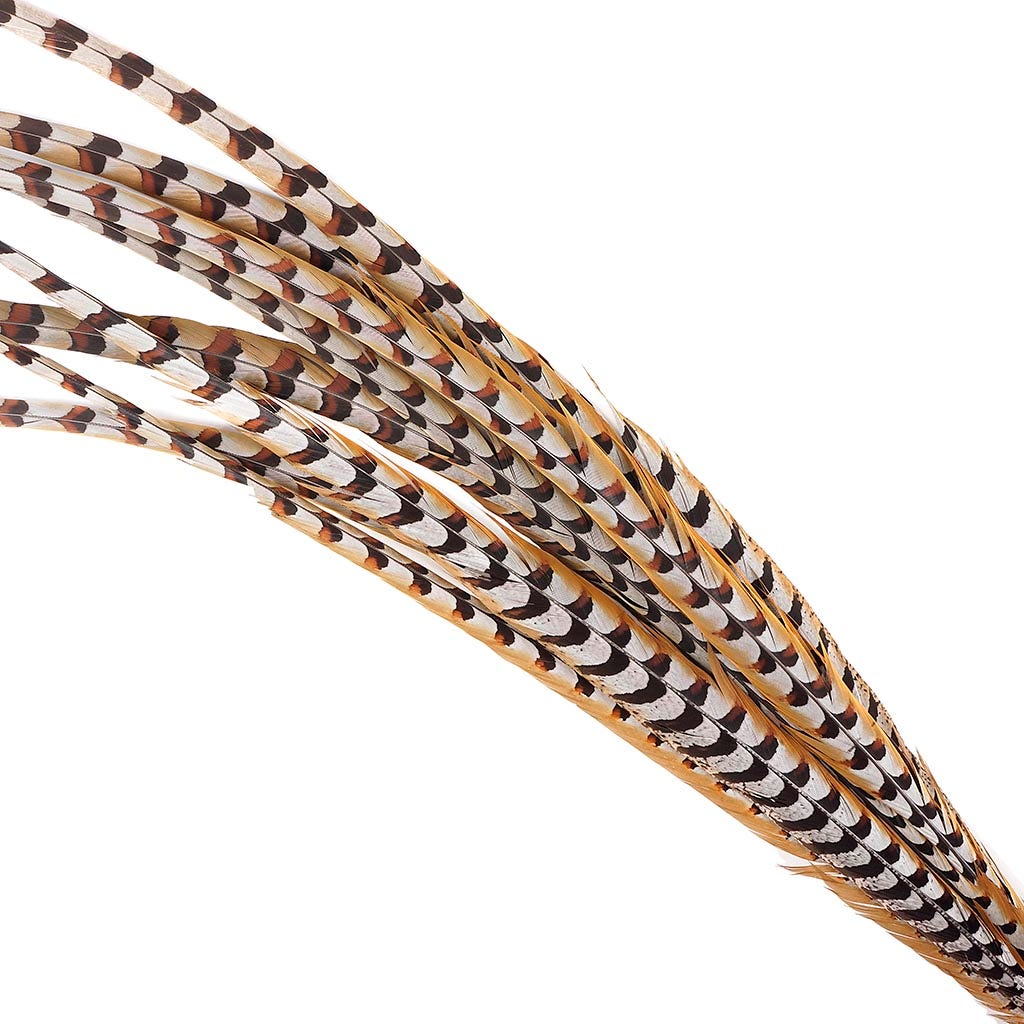 Venery Pheasant Tails - Natural - 40 - 50’’ - Feathers