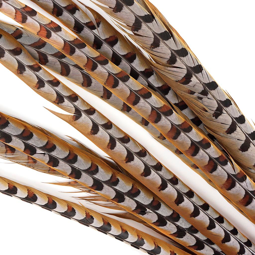 Venery Pheasant Tails - Natural - 50 - 60’’ - Feathers