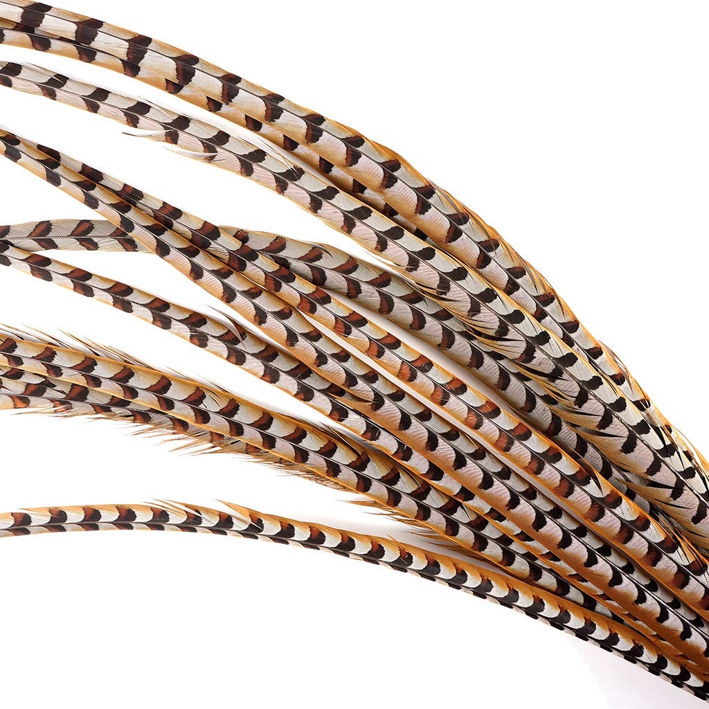 Venery Pheasant Tails - Natural - 50 - 60’’ - Feathers