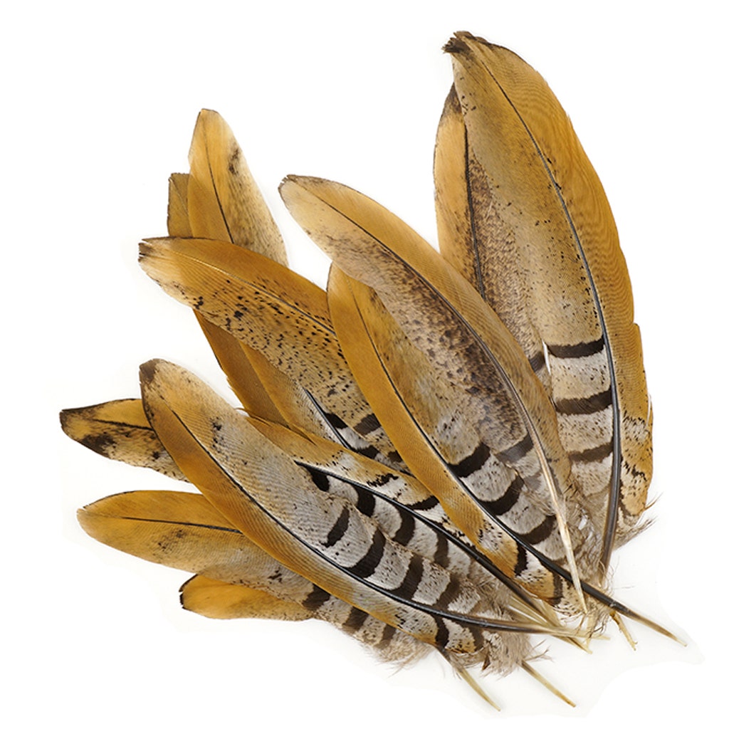 Venery Pheasant Tails - Natural - 6 - 8’’ - Feathers