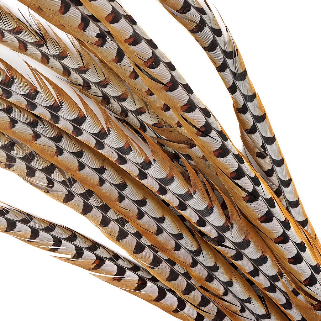 Venery Pheasant Tails - Natural - 60’’ and Up - Feathers