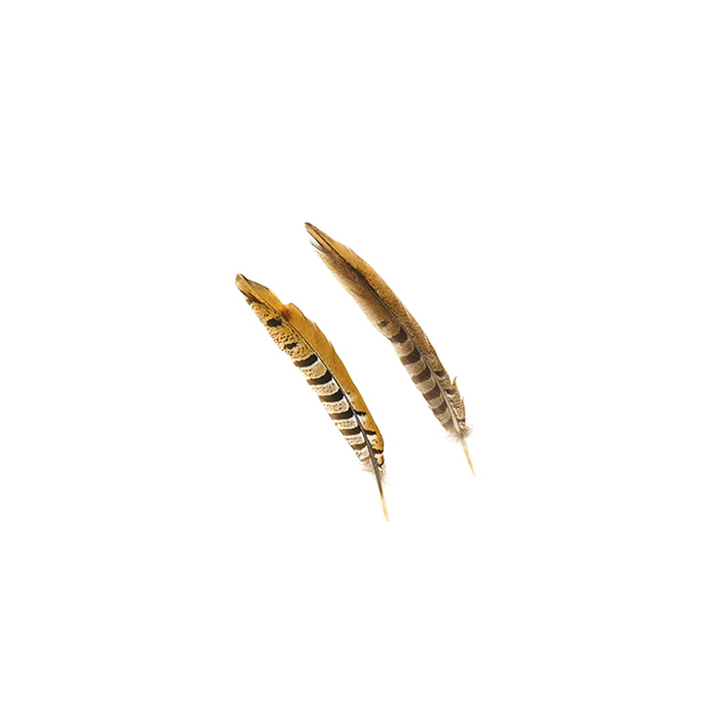 Venery Pheasant Tails - Natural - 8 - 12’’ - Feathers