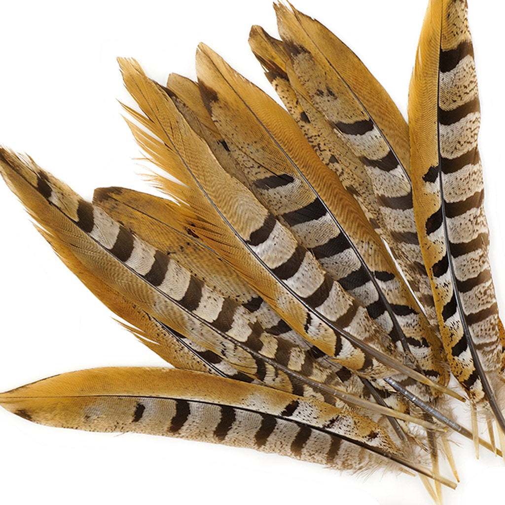 Venery Pheasant Tails - Natural - 8 - 12’’ - Feathers