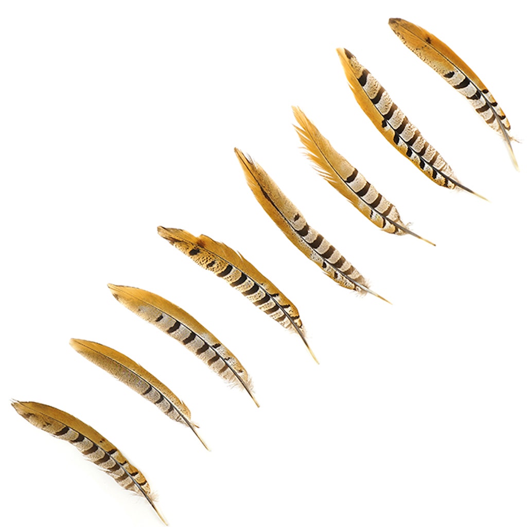 Venery Pheasant Tails - Natural - 8 - 12’’ - Feathers