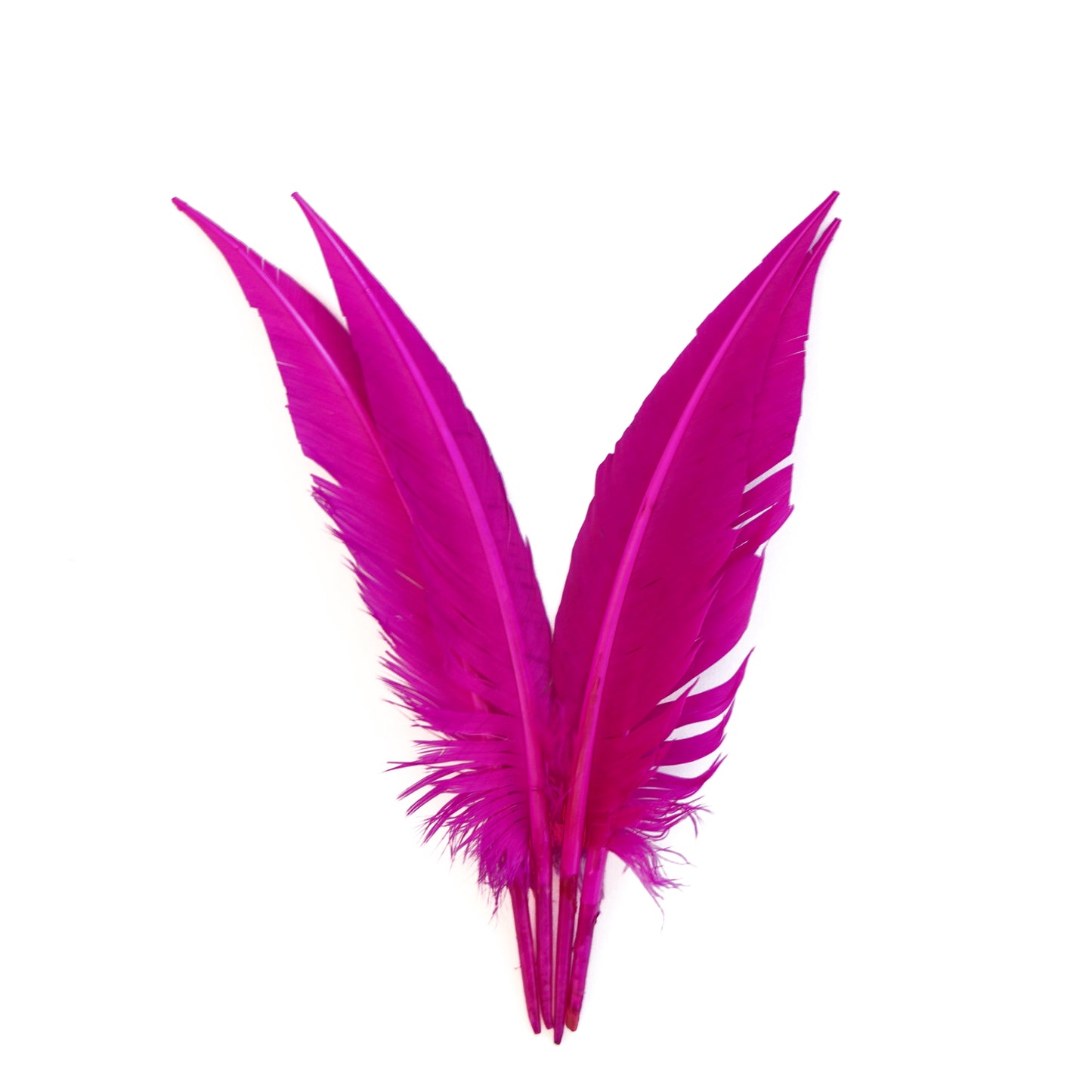 Very Berry Dagger Turkey Quill Feathers 9-12"