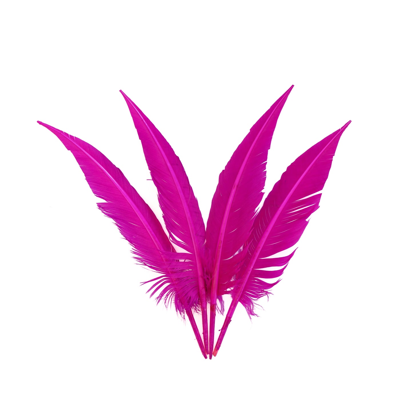 Very Berry Dagger Turkey Quill Feathers 9-12"