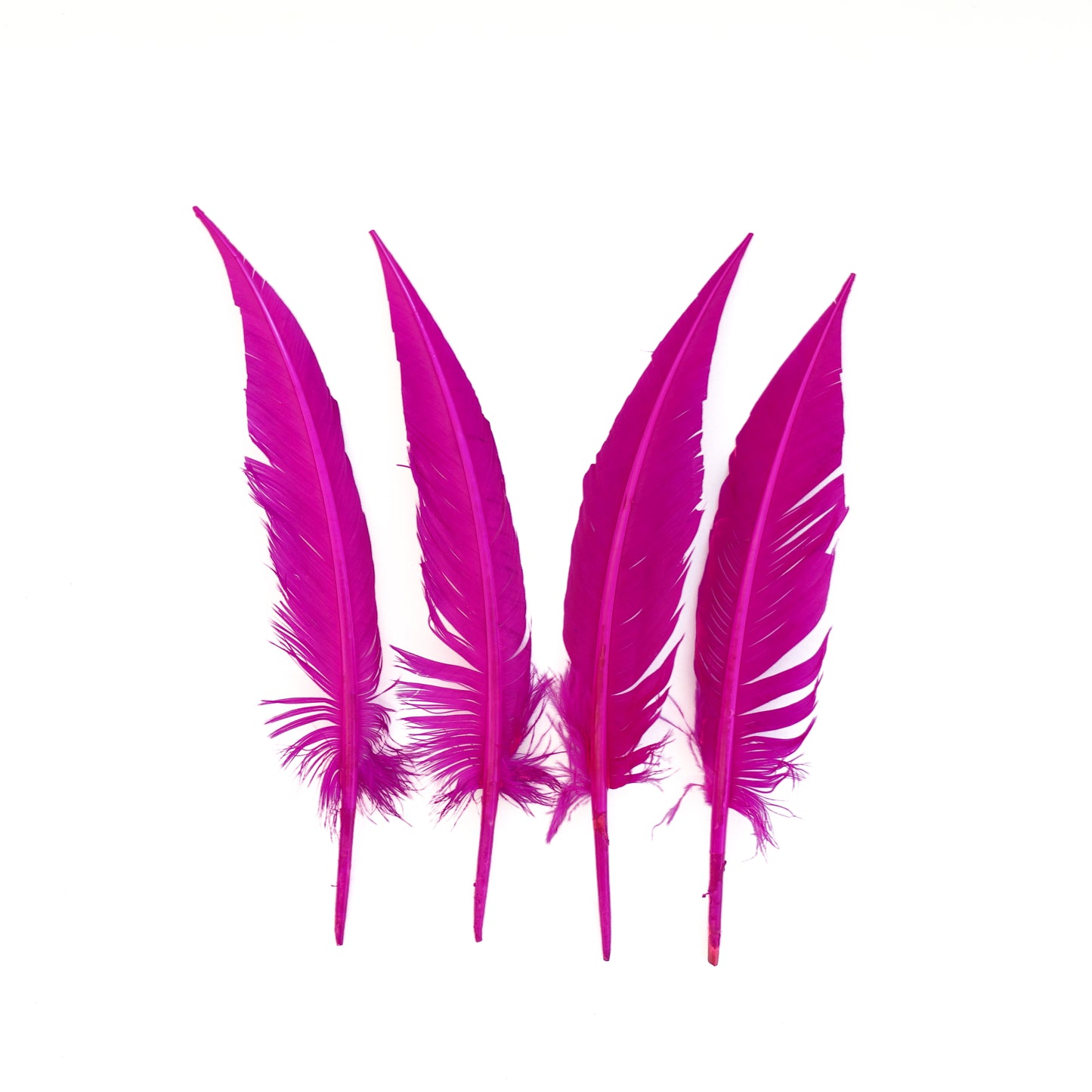 Very Berry Dagger Turkey Quill Feathers 9-12"