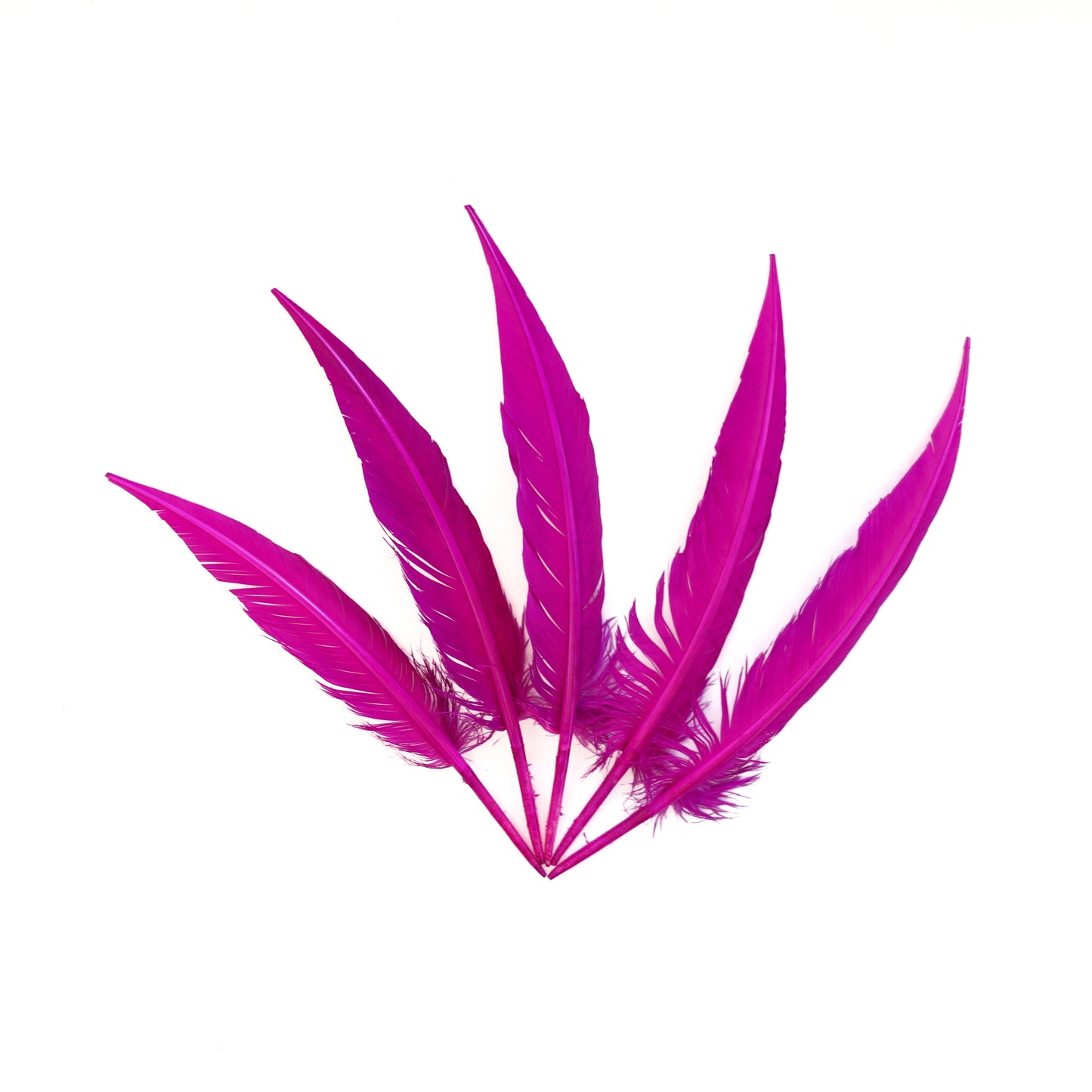 Very Berry Dagger Turkey Quill Feathers 9-12"