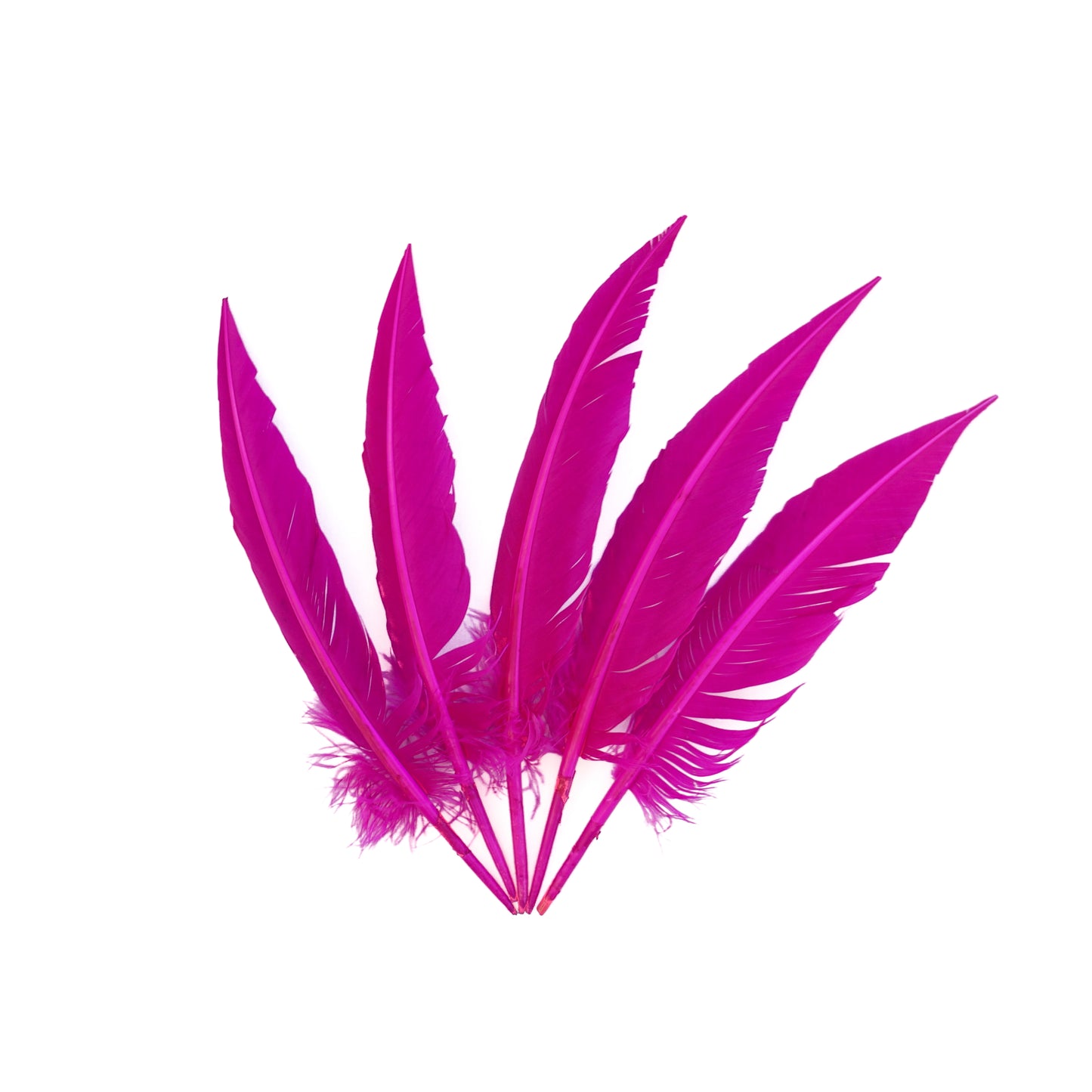 Very Berry Dagger Turkey Quill Feathers 9-12"