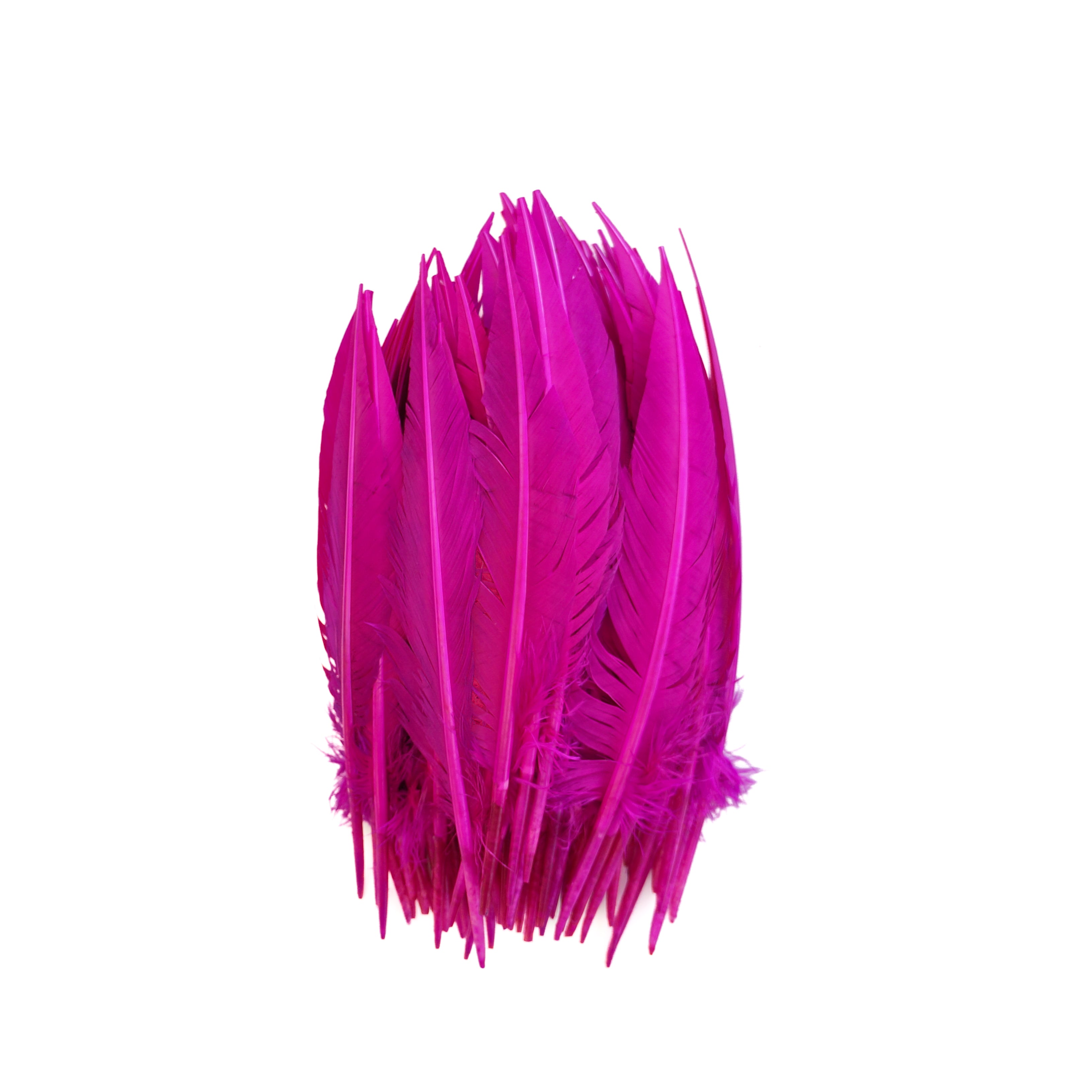 Cut Turkey Dagger Quill Feathers | Pink Purple Trimmed Turkey Feathers ...