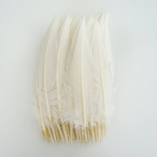 White Dagger Turkey Quill Feathers 9-12"