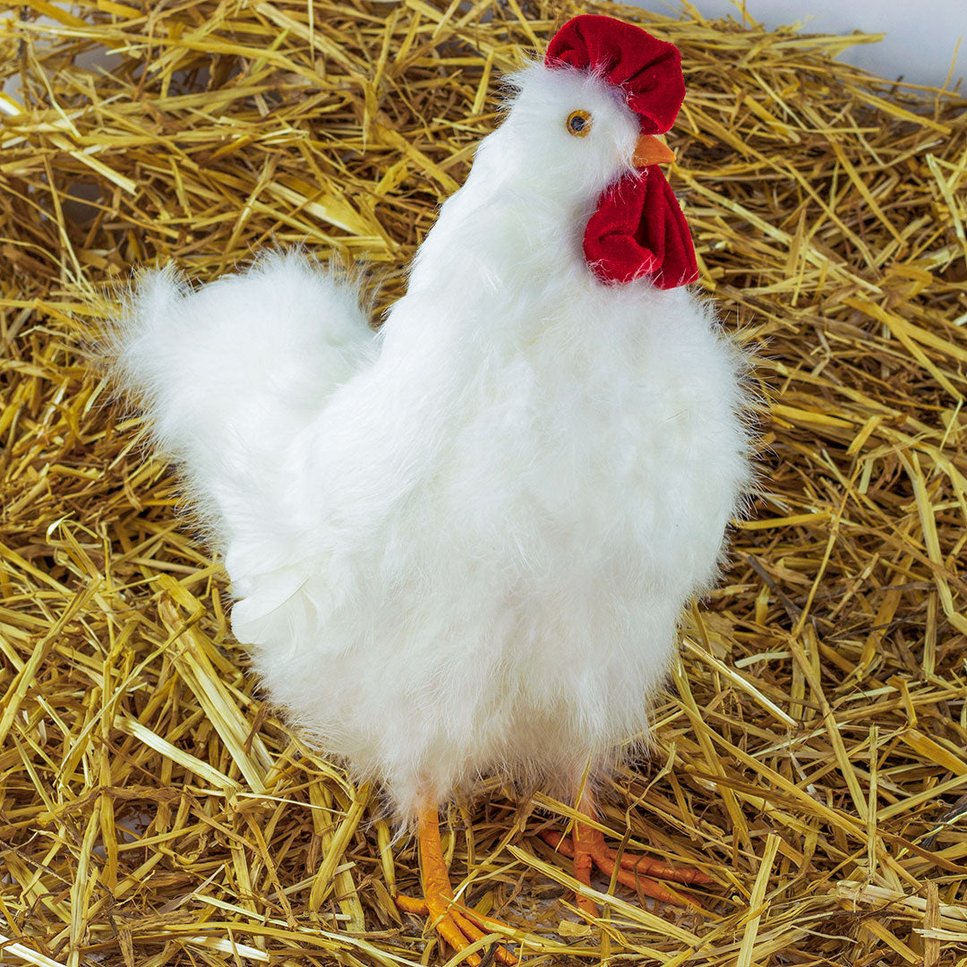 White Hen Farmhouse Decor