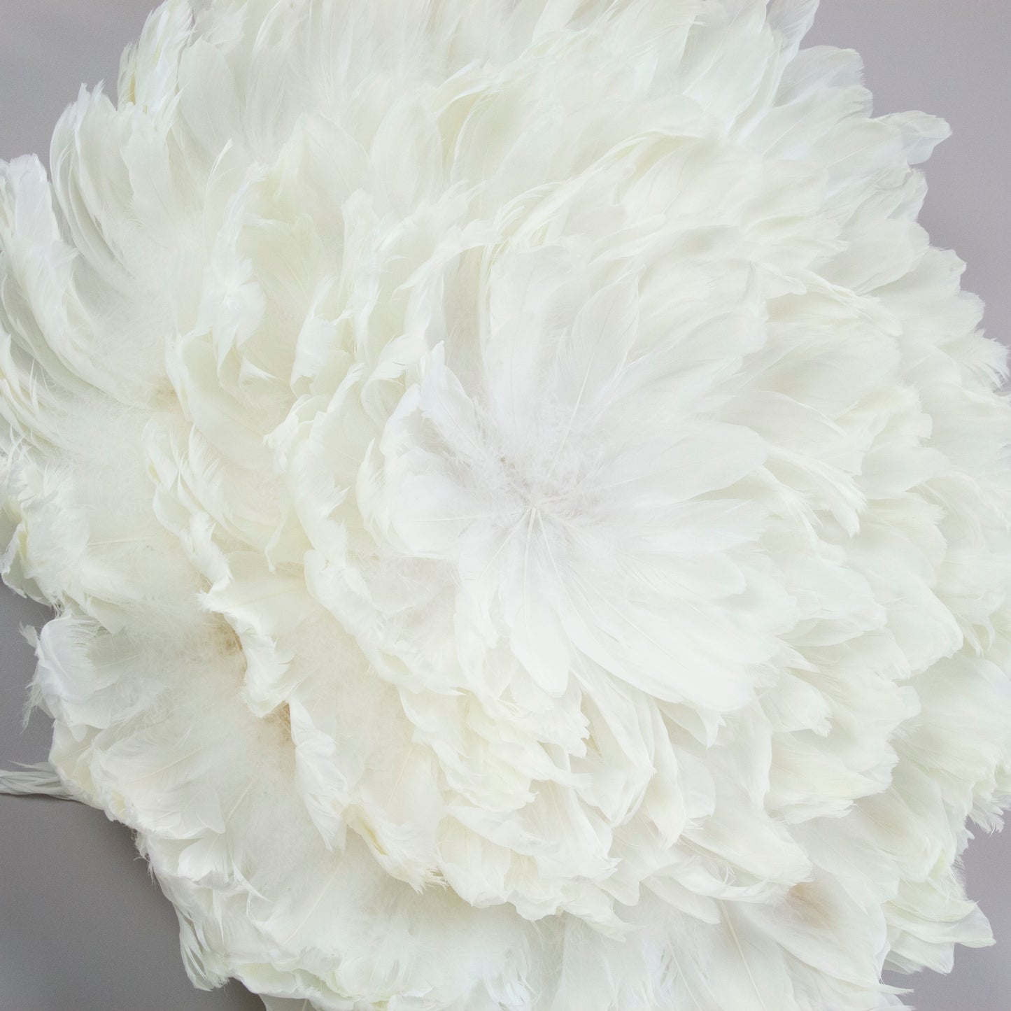 Juju Hat Nagoire Feather Wall Art 16 inch Wood Base   24-26 inch DIA --White