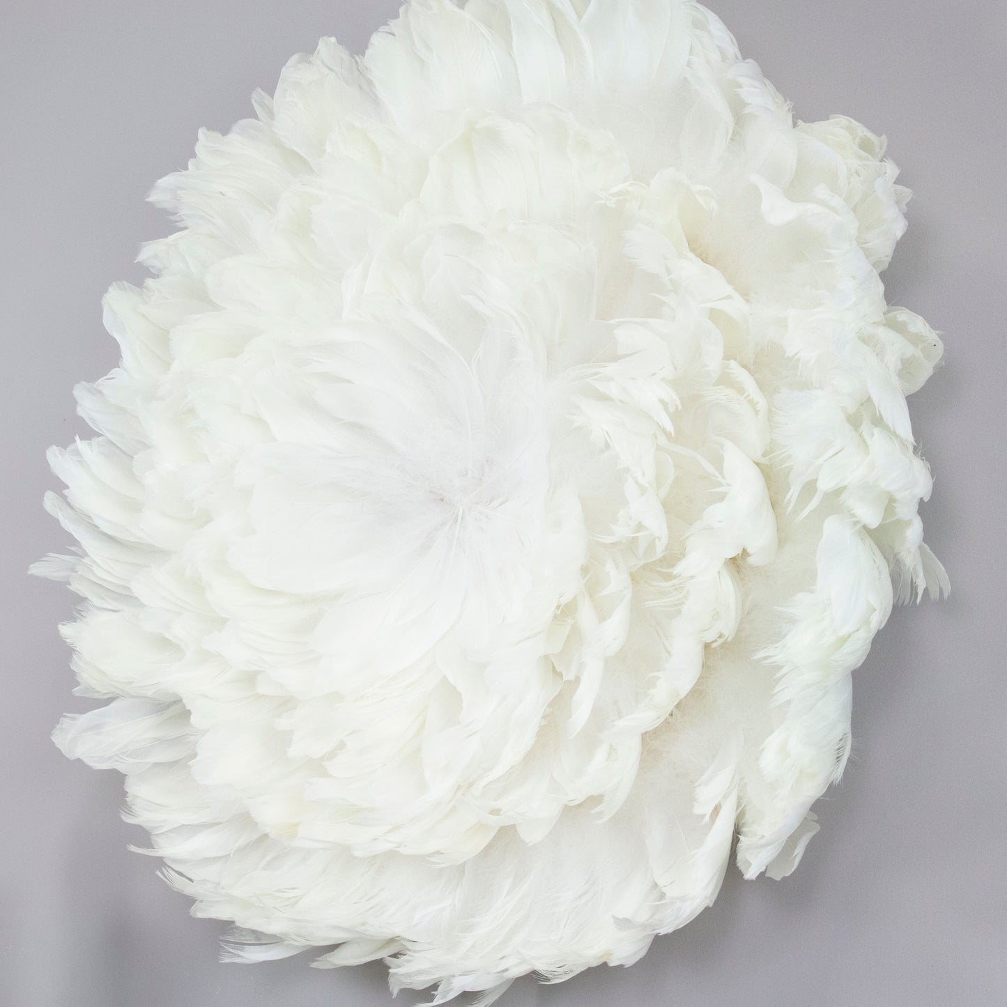 Juju Hat Nagoire Feather Wall Art 16 inch Wood Base   24-26 inch DIA --White