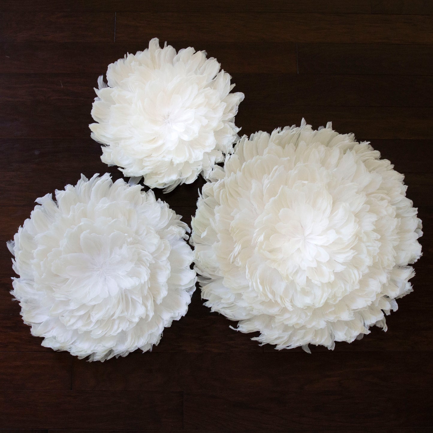Juju Hat Nagoire Feather Wall Art 16 inch Wood Base   24-26 inch DIA --White