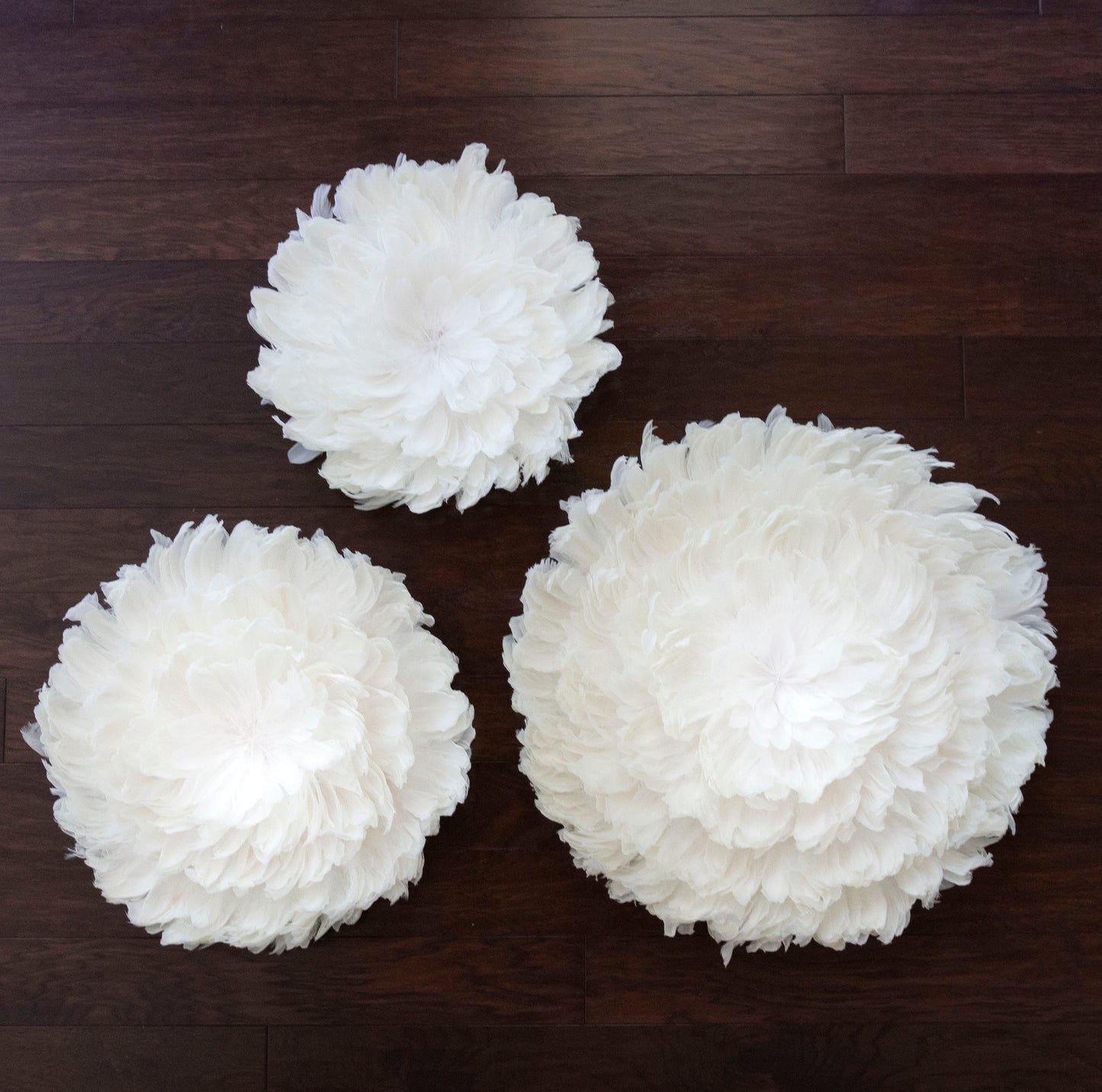Juju Hat Nagoire Feather Wall Art 16 inch Wood Base   24-26 inch DIA --White